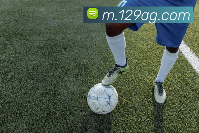 ag百家乐平台生态图