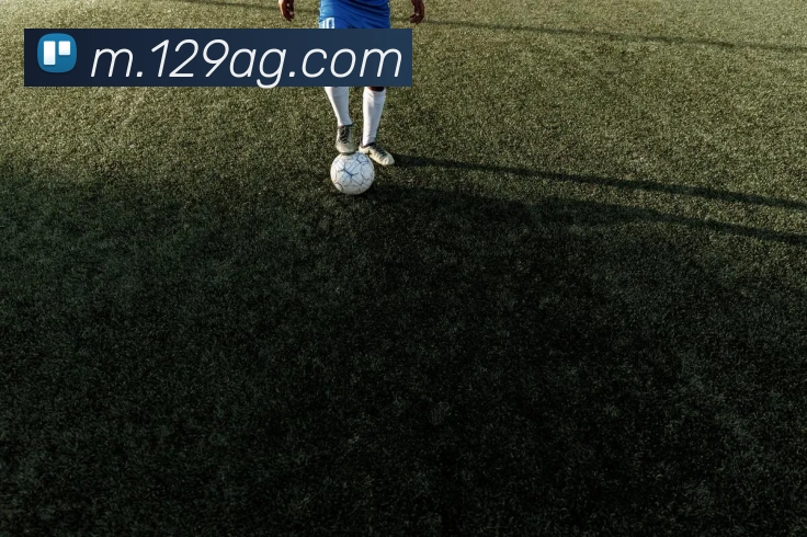 辅助工具 辅助工具